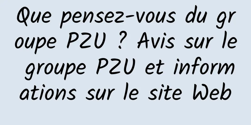 Que pensez-vous du groupe PZU ? Avis sur le groupe PZU et informations sur le site Web