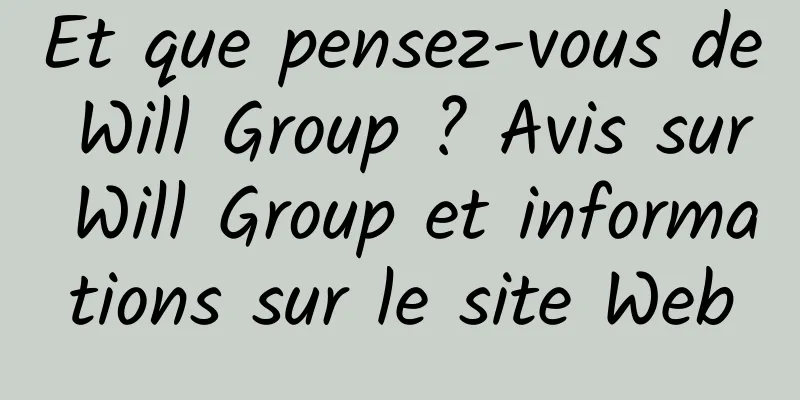 Et que pensez-vous de Will Group ? Avis sur Will Group et informations sur le site Web