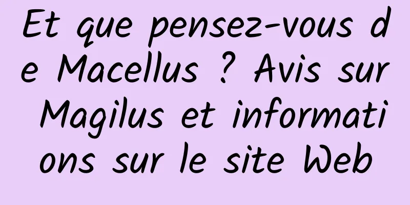 Et que pensez-vous de Macellus ? Avis sur Magilus et informations sur le site Web