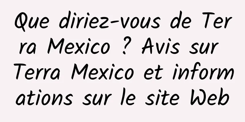 Que diriez-vous de Terra Mexico ? Avis sur Terra Mexico et informations sur le site Web