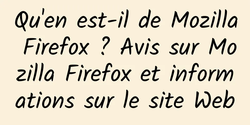 Qu'en est-il de Mozilla Firefox ? Avis sur Mozilla Firefox et informations sur le site Web