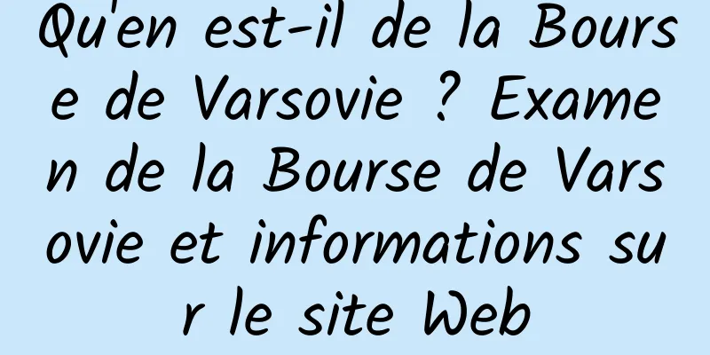 Qu'en est-il de la Bourse de Varsovie ? Examen de la Bourse de Varsovie et informations sur le site Web