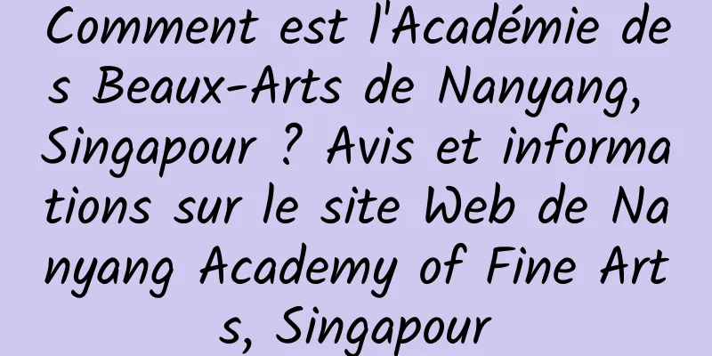 Comment est l'Académie des Beaux-Arts de Nanyang, Singapour ? Avis et informations sur le site Web de Nanyang Academy of Fine Arts, Singapour