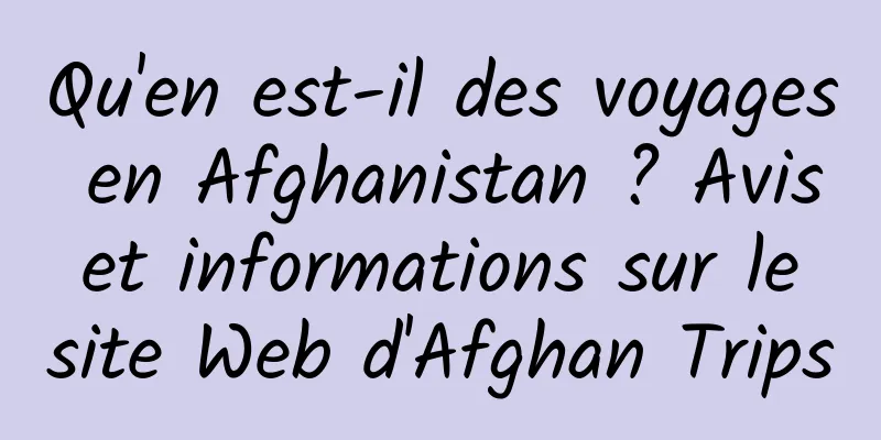 Qu'en est-il des voyages en Afghanistan ? Avis et informations sur le site Web d'Afghan Trips