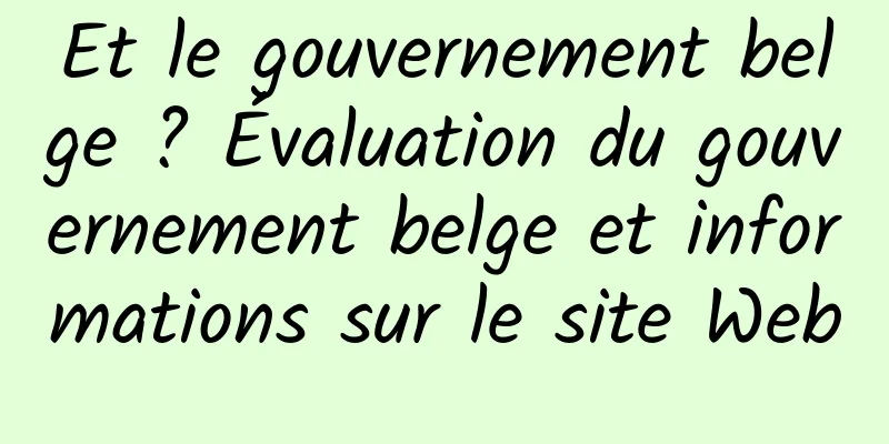 Et le gouvernement belge ? Évaluation du gouvernement belge et informations sur le site Web