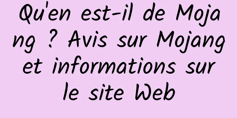 Qu'en est-il de Mojang ? Avis sur Mojang et informations sur le site Web