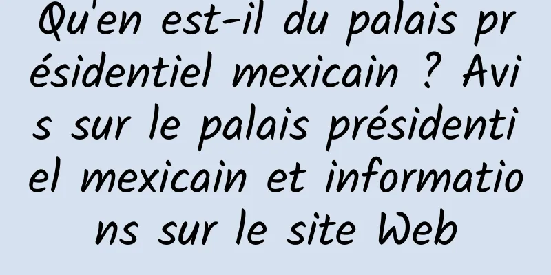 Qu'en est-il du palais présidentiel mexicain ? Avis sur le palais présidentiel mexicain et informations sur le site Web