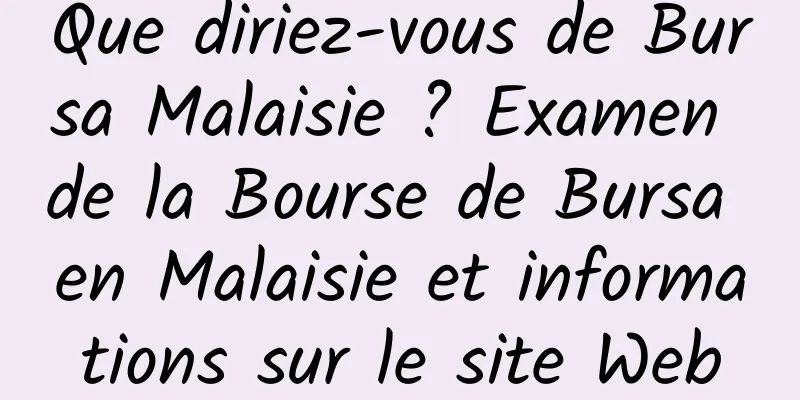 Que diriez-vous de Bursa Malaisie ? Examen de la Bourse de Bursa en Malaisie et informations sur le site Web