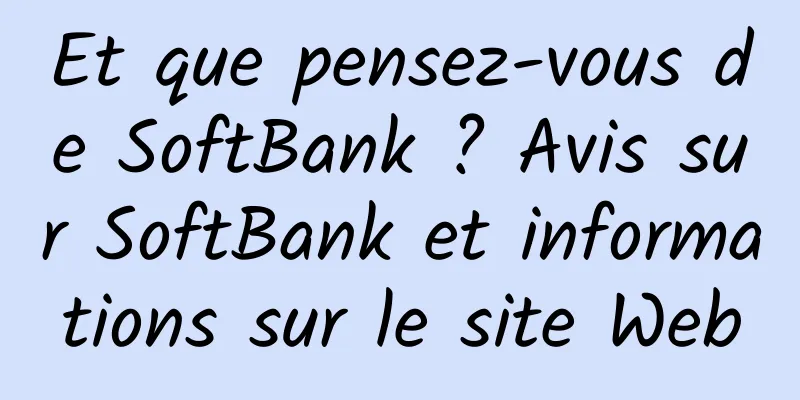 Et que pensez-vous de SoftBank ? Avis sur SoftBank et informations sur le site Web