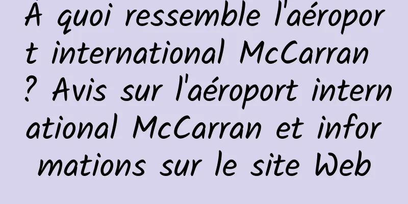 À quoi ressemble l'aéroport international McCarran ? Avis sur l'aéroport international McCarran et informations sur le site Web