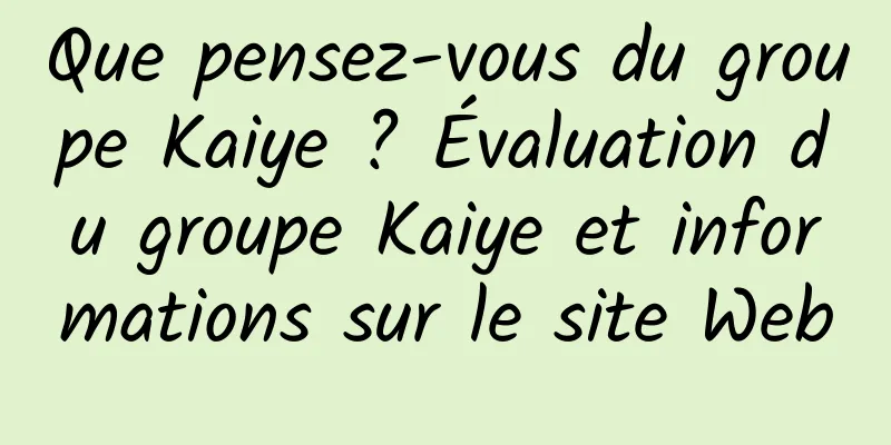 Que pensez-vous du groupe Kaiye ? Évaluation du groupe Kaiye et informations sur le site Web