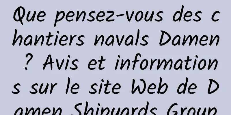 Que pensez-vous des chantiers navals Damen ? Avis et informations sur le site Web de Damen Shipyards Group