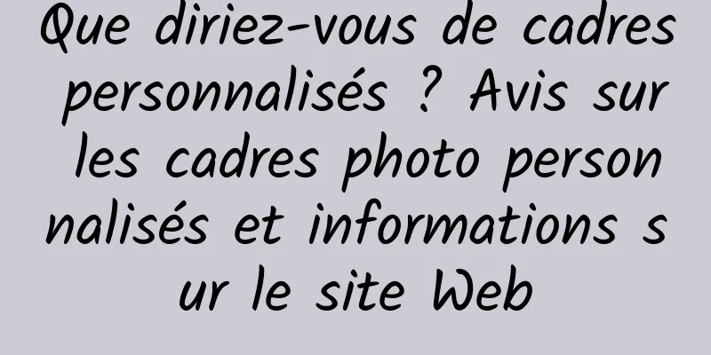 Que diriez-vous de cadres personnalisés ? Avis sur les cadres photo personnalisés et informations sur le site Web
