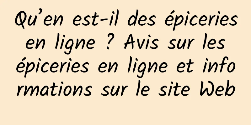 Qu’en est-il des épiceries en ligne ? Avis sur les épiceries en ligne et informations sur le site Web