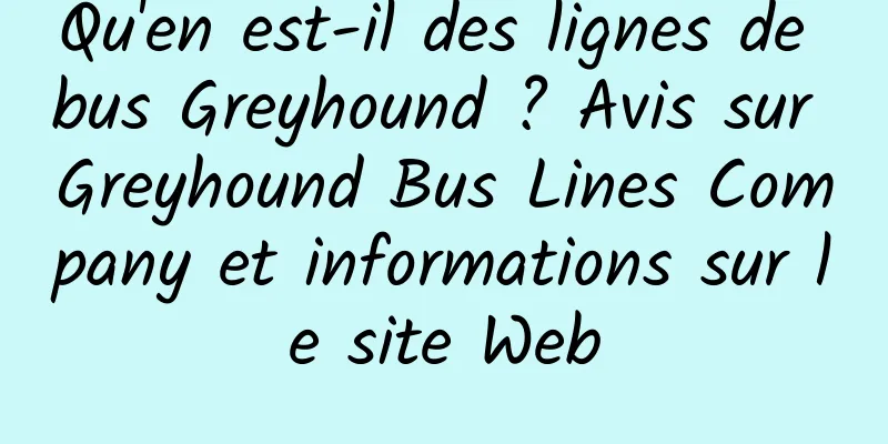 Qu'en est-il des lignes de bus Greyhound ? Avis sur Greyhound Bus Lines Company et informations sur le site Web