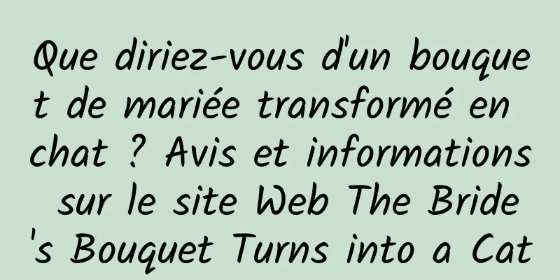 Que diriez-vous d'un bouquet de mariée transformé en chat ? Avis et informations sur le site Web The Bride's Bouquet Turns into a Cat