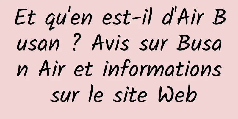 Et qu'en est-il d'Air Busan ? Avis sur Busan Air et informations sur le site Web