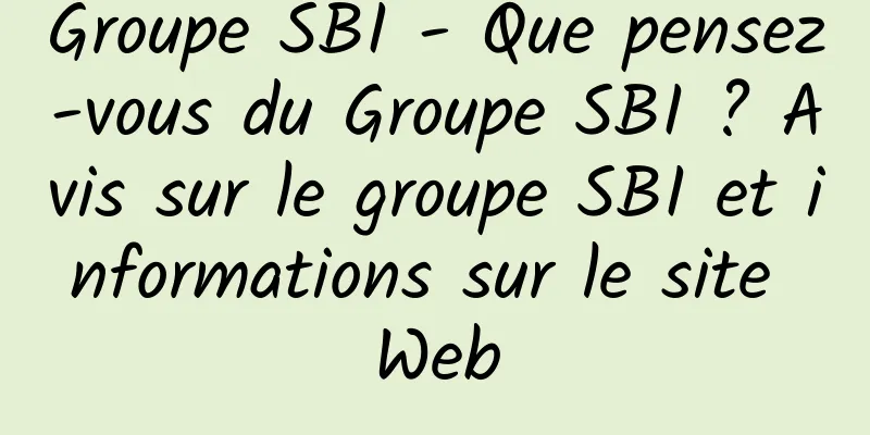 Groupe SBI - Que pensez-vous du Groupe SBI ? Avis sur le groupe SBI et informations sur le site Web