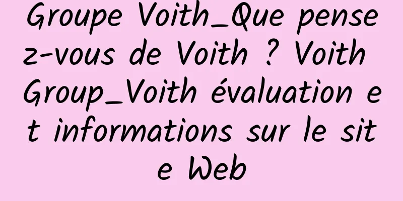 Groupe Voith_Que pensez-vous de Voith ? Voith Group_Voith évaluation et informations sur le site Web
