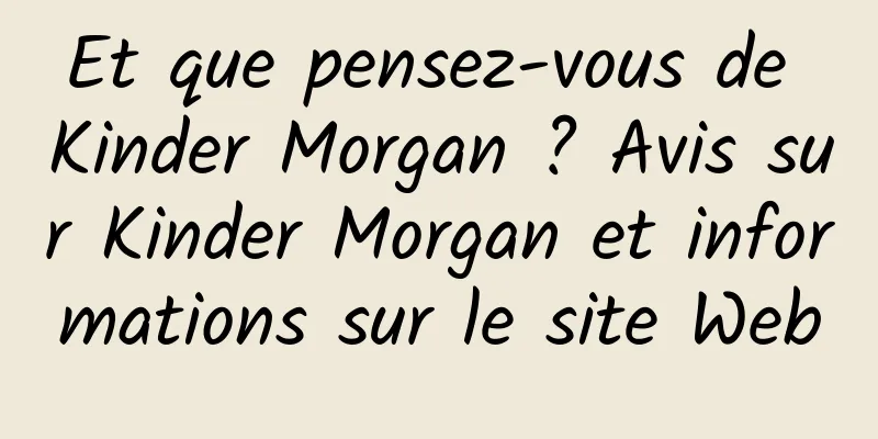 Et que pensez-vous de Kinder Morgan ? Avis sur Kinder Morgan et informations sur le site Web