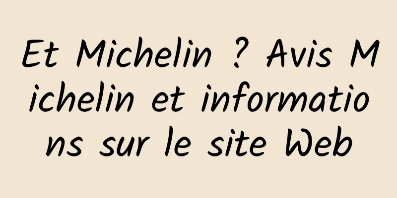 Et Michelin ? Avis Michelin et informations sur le site Web