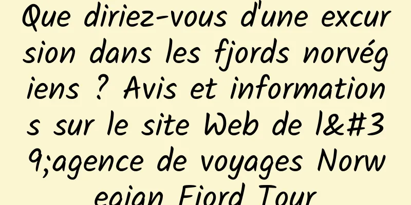 Que diriez-vous d'une excursion dans les fjords norvégiens ? Avis et informations sur le site Web de l'agence de voyages Norwegian Fjord Tour