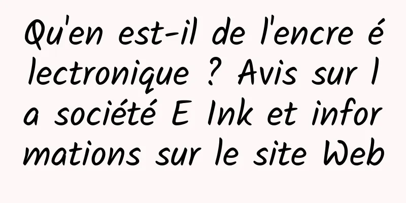 Qu'en est-il de l'encre électronique ? Avis sur la société E Ink et informations sur le site Web