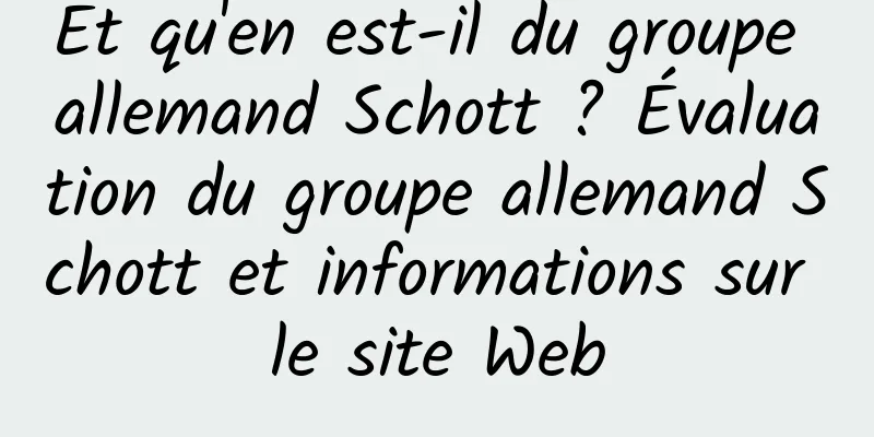 Et qu'en est-il du groupe allemand Schott ? Évaluation du groupe allemand Schott et informations sur le site Web