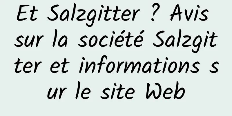 Et Salzgitter ? Avis sur la société Salzgitter et informations sur le site Web