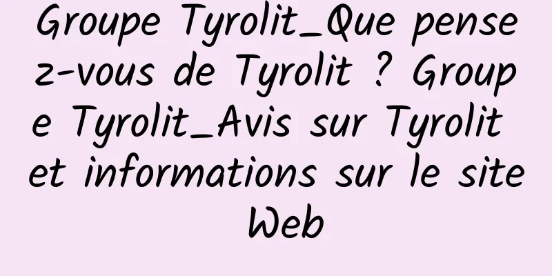 Groupe Tyrolit_Que pensez-vous de Tyrolit ? Groupe Tyrolit_Avis sur Tyrolit et informations sur le site Web