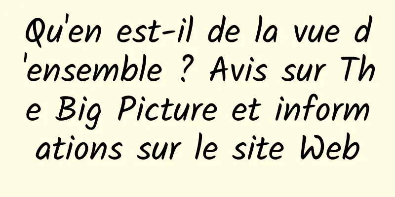 Qu'en est-il de la vue d'ensemble ? Avis sur The Big Picture et informations sur le site Web