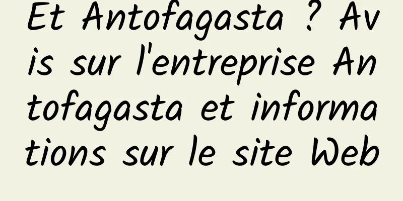 Et Antofagasta ? Avis sur l'entreprise Antofagasta et informations sur le site Web
