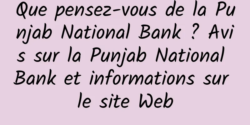 Que pensez-vous de la Punjab National Bank ? Avis sur la Punjab National Bank et informations sur le site Web