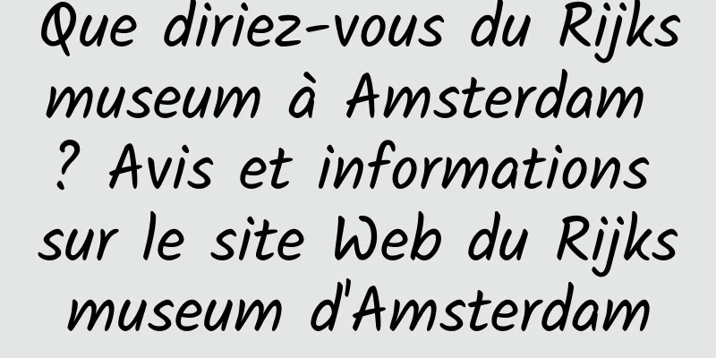 Que diriez-vous du Rijksmuseum à Amsterdam ? Avis et informations sur le site Web du Rijksmuseum d'Amsterdam