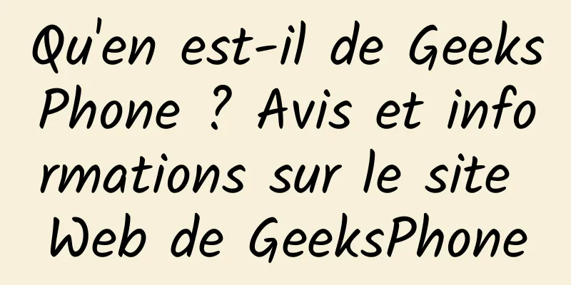 Qu'en est-il de GeeksPhone ? Avis et informations sur le site Web de GeeksPhone