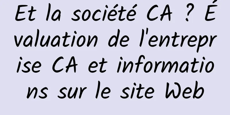 Et la société CA ? Évaluation de l'entreprise CA et informations sur le site Web