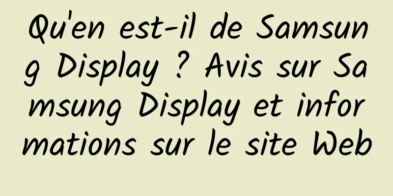 Qu'en est-il de Samsung Display ? Avis sur Samsung Display et informations sur le site Web