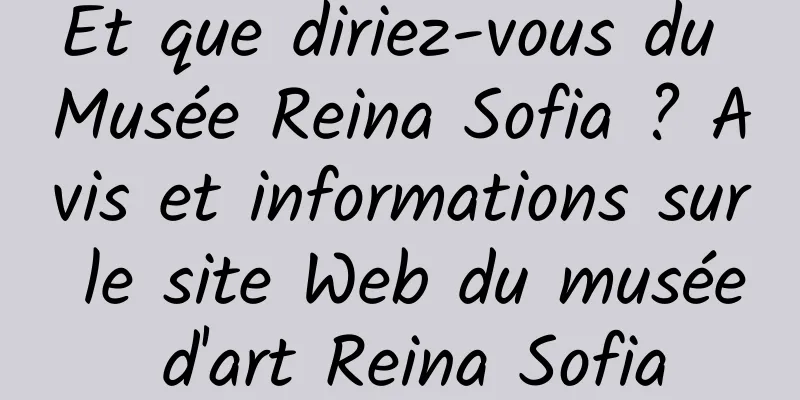Et que diriez-vous du Musée Reina Sofia ? Avis et informations sur le site Web du musée d'art Reina Sofia