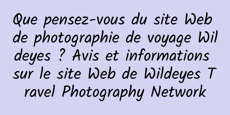 Que pensez-vous du site Web de photographie de voyage Wildeyes ? Avis et informations sur le site Web de Wildeyes Travel Photography Network
