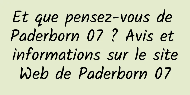 Et que pensez-vous de Paderborn 07 ? Avis et informations sur le site Web de Paderborn 07 