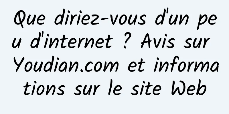 Que diriez-vous d'un peu d'internet ? Avis sur Youdian.com et informations sur le site Web