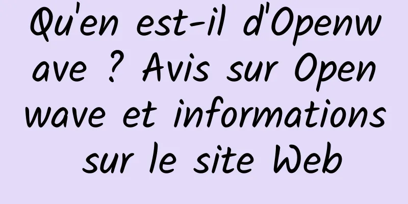Qu'en est-il d'Openwave ? Avis sur Openwave et informations sur le site Web