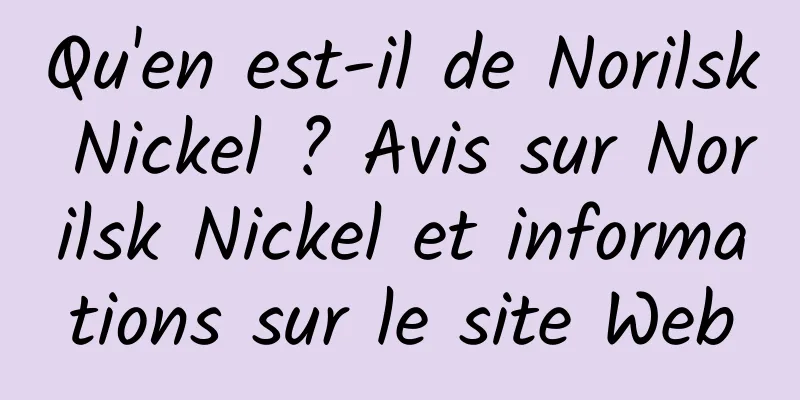 Qu'en est-il de Norilsk Nickel ? Avis sur Norilsk Nickel et informations sur le site Web