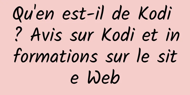 Qu'en est-il de Kodi ? Avis sur Kodi et informations sur le site Web
