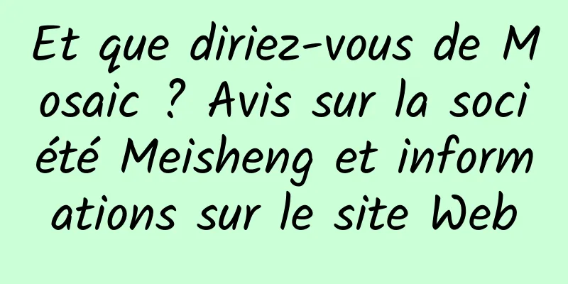 Et que diriez-vous de Mosaic ? Avis sur la société Meisheng et informations sur le site Web