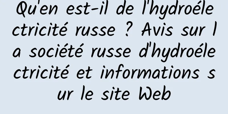 Qu'en est-il de l'hydroélectricité russe ? Avis sur la société russe d'hydroélectricité et informations sur le site Web
