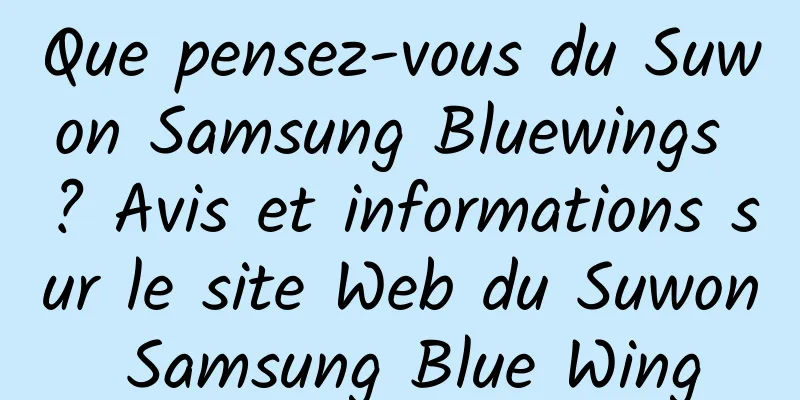 Que pensez-vous du Suwon Samsung Bluewings ? Avis et informations sur le site Web du Suwon Samsung Blue Wing