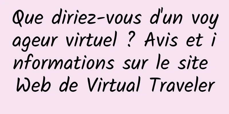 Que diriez-vous d'un voyageur virtuel ? Avis et informations sur le site Web de Virtual Traveler