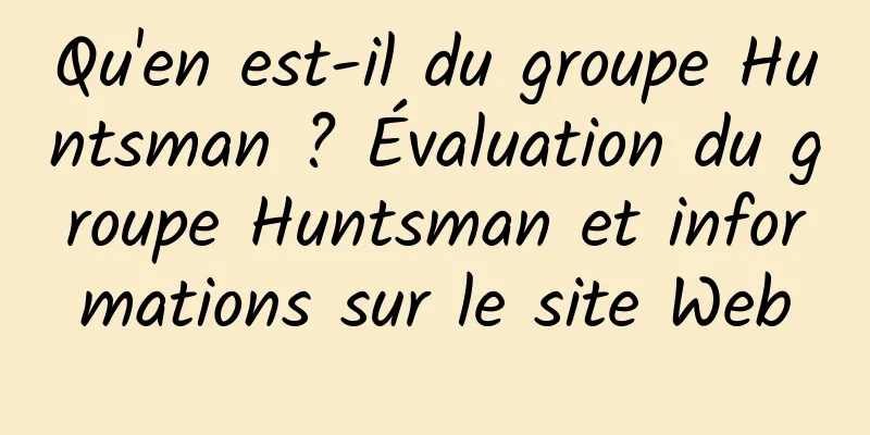 Qu'en est-il du groupe Huntsman ? Évaluation du groupe Huntsman et informations sur le site Web