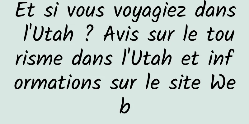 Et si vous voyagiez dans l'Utah ? Avis sur le tourisme dans l'Utah et informations sur le site Web